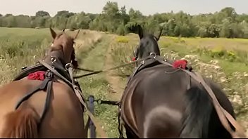 O plimba pe aceasta printesa cu trasura apoi are chef sa o futa in pasarica